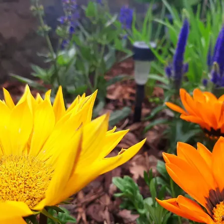 Baron Ubytování v soukromí