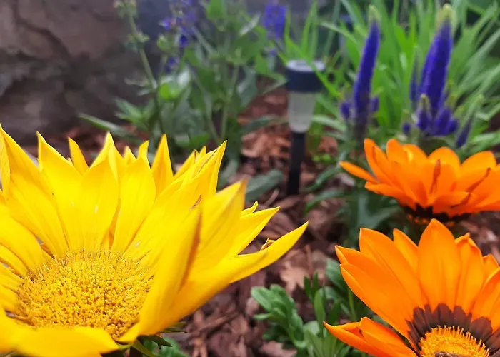 Baron Ubytování v soukromí